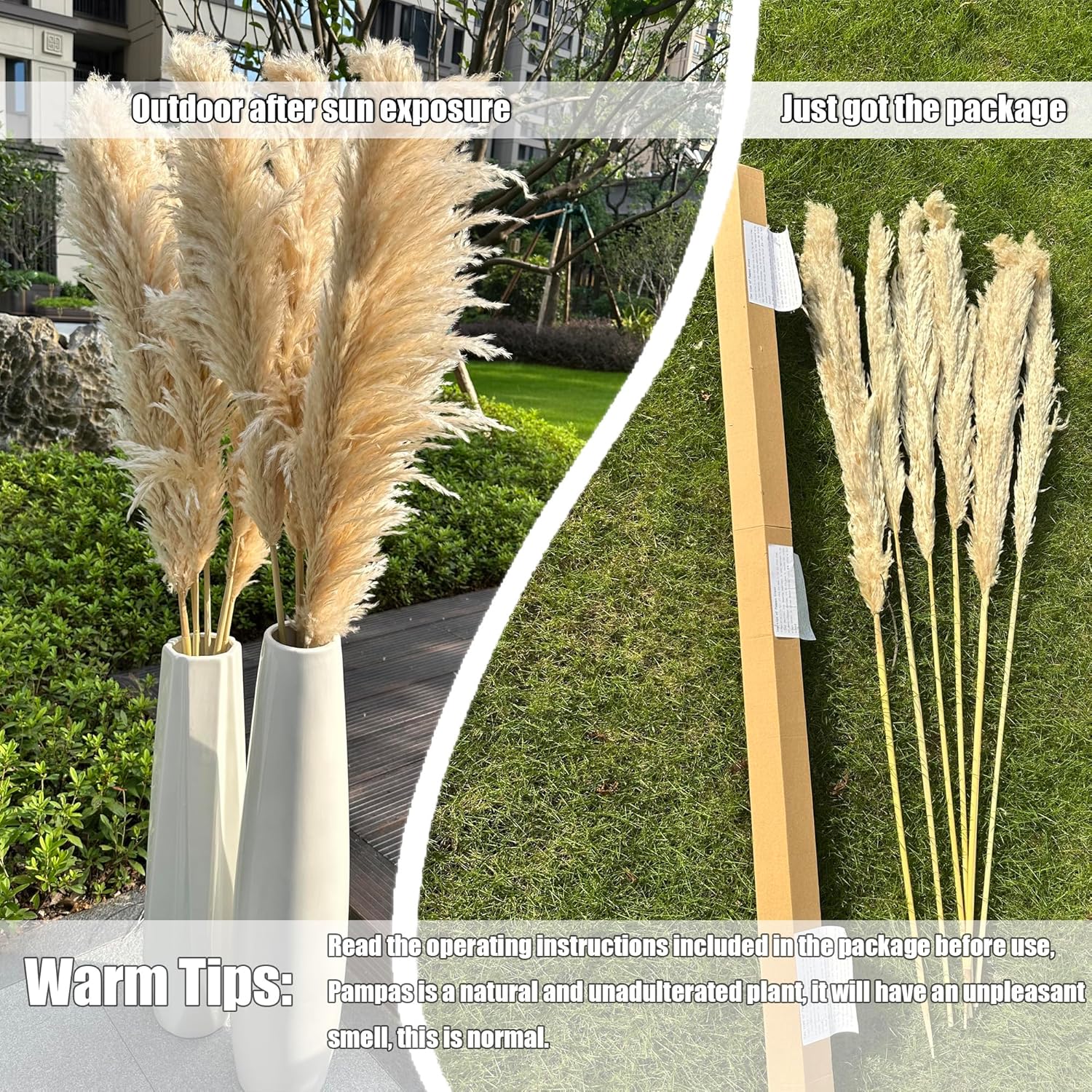 55 inch Scarcity Natural Pampas Grass Decor Tall, pompas Grass, Tall Pampas Grass for Wedding, Party, Farmhouse, Boho Home Decor